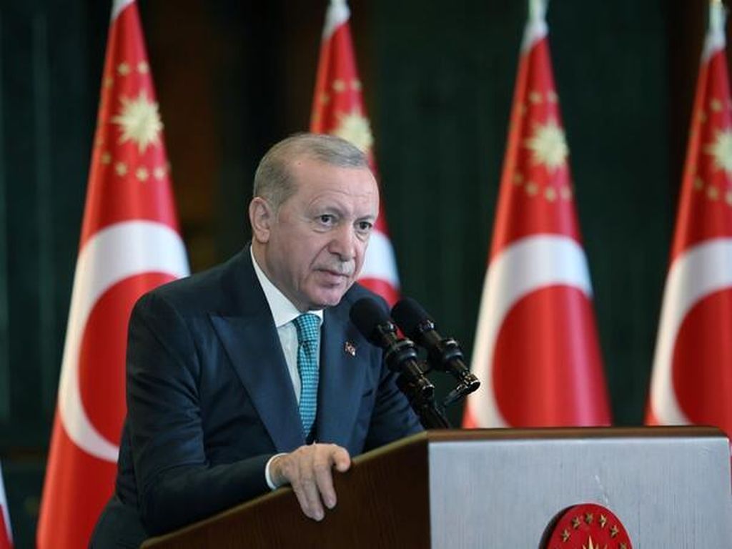 Erdogan: Turska neće stajati po strani od neprijateljskih poteza u regiji