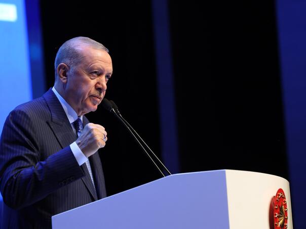 Erdogan: Turske institucije i organizacije šalju pomoć BiH