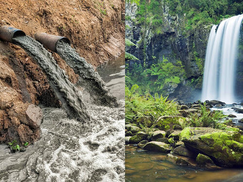 EU će kriminalizovati zločine slične ekocidu, kazne i do deset godina zatvora
