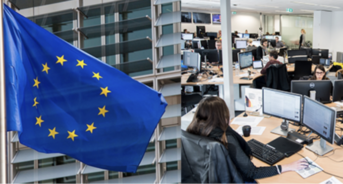 EU: Crna Gora hitno da imenuje sudije Ustavnog suda