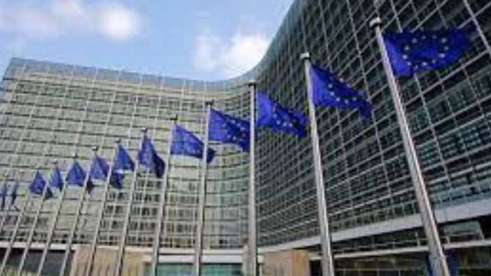 EU traži od svojih članica da ukinu shemu zlatnih pasoša