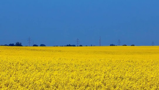 EU uklonila posljednju prepreku za ukidanje carina Ukrajini