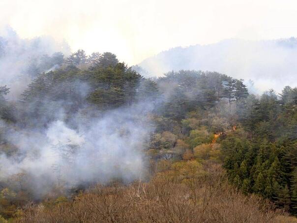 Evakuacija hiljada ljudi zbog požara na sjeveru Japana