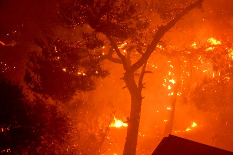 Evakuisano više od 2.400 ljudi zbog požara u Andaluziji