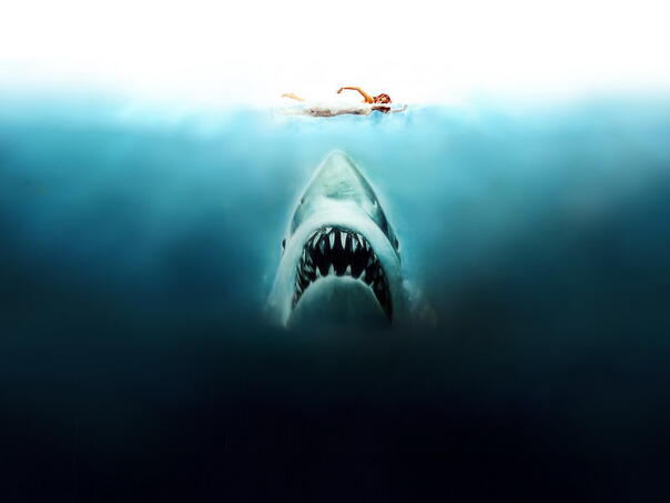 Evo kako su Ralje promijenile naš pogled na more i morske pse