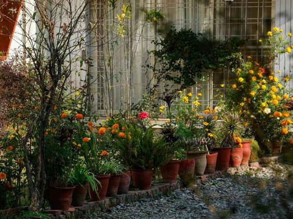 Evropska unija zabranjuje predmet koji ima skoro svaka kuća