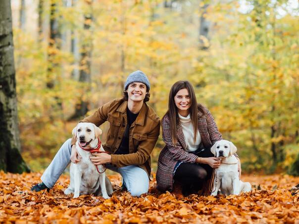 Evropski parlament predlaže strože mjere za zaštitu pasa i mačaka
