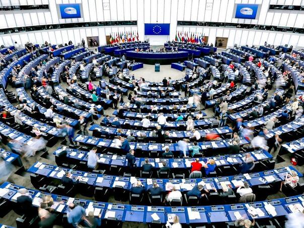 Evropski parlament usvojio prioritete za strategiju EU o pravima osoba s invaliditetom