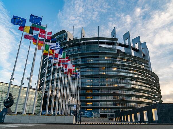 Evropski parlament zabranio ulaz Amazonovim lobistima