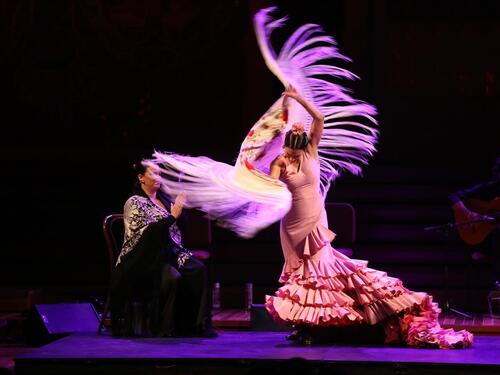 Festival Dansar od 2. do 12. oktobra donosi bogat program, od flamenka do modernih plesova