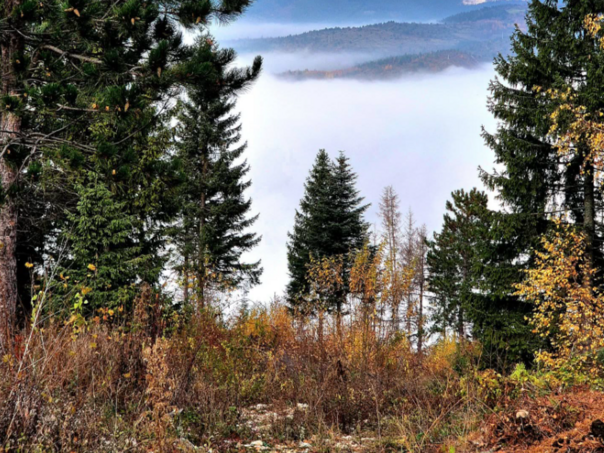 FHMZ: Kvalitet zraka u Sarajevu jutros nije zabrinjavajući