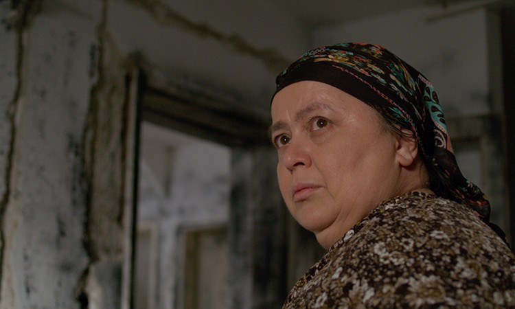 Film Adisa Bakrača 'Švedsko srce moje majke' osvojio dvije nagrade