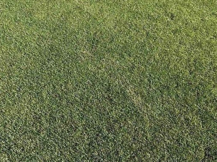 FK Velež prijavio da je dronom prosuta kiselina na travnjak stadiona Rođeni