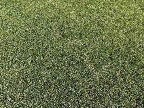 FK Velež prijavio da je dronom prosuta kiselina na travnjak stadiona Rođeni