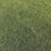 FK Velež prijavio da je dronom prosuta kiselina na travnjak stadiona Rođeni