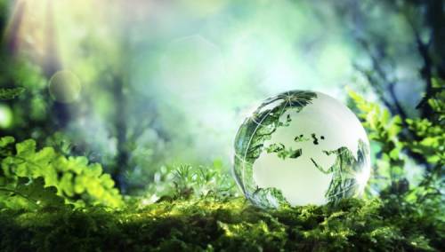 Fond sredstva za obilježavanje Dana planete uplaćuje na račun Vlade FBiH