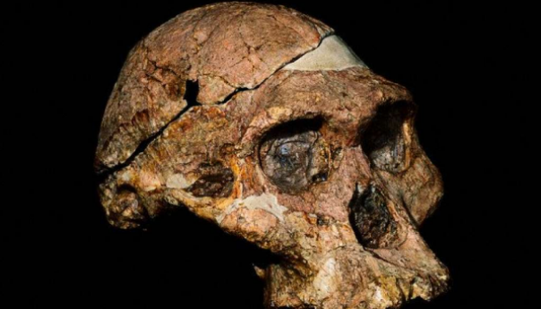 Fosilni ostaci ljudskih predaka milion godina stariji nego što se mislilo