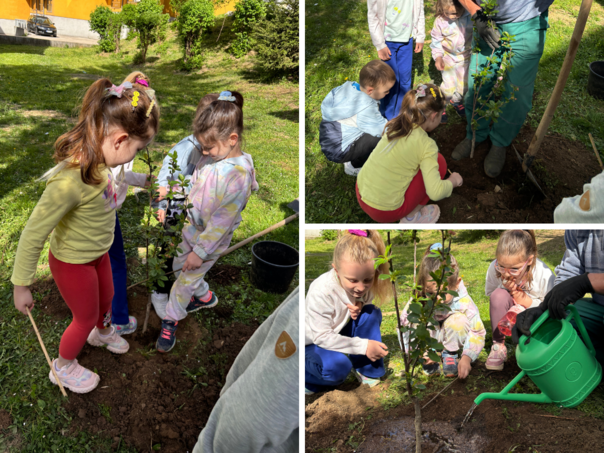 Mali vrtlari sade budućnost