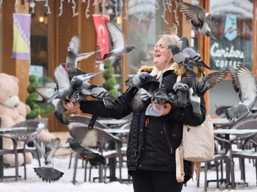 FOTO / Sarajevo danas kao veliko klizalište: Šetnja kao olimpijska disciplina