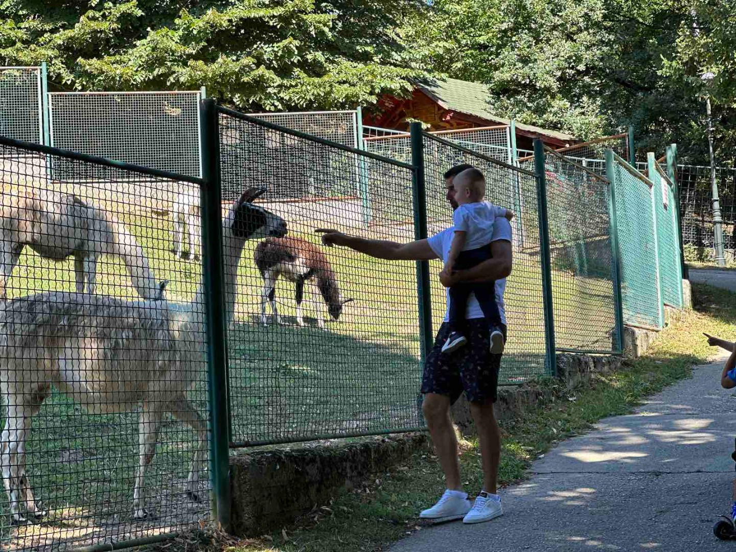 Foto: Prošetali smo Pionirskom dolinom u Sarajevu