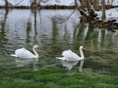 Foto: Zimska idila na Vrelu Bosne