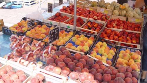 Francuska ponovo otvorila pijace