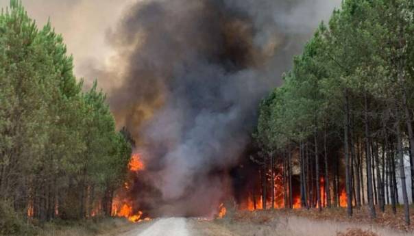 Francuska se bori s 'monstruoznim'' požarom u blizini Bordeauxa