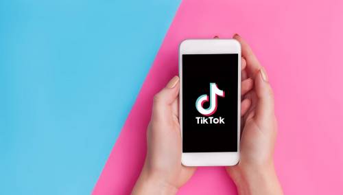Francuska vlada zabranila TikTok i nekoliko drugih aplikacija na službenim telefonima