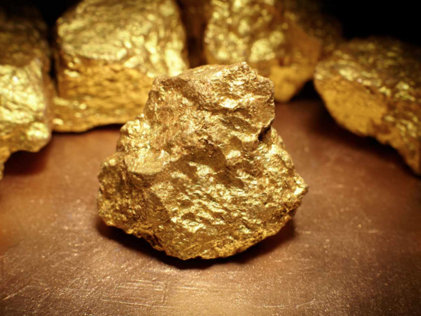 Francuz u svom vrtu pronašao zakopano zlato