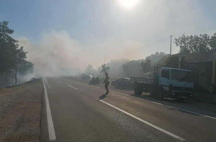Gašenje požara kod Bileće otežava vjetar, vatrogasci odbili vatru od kuća