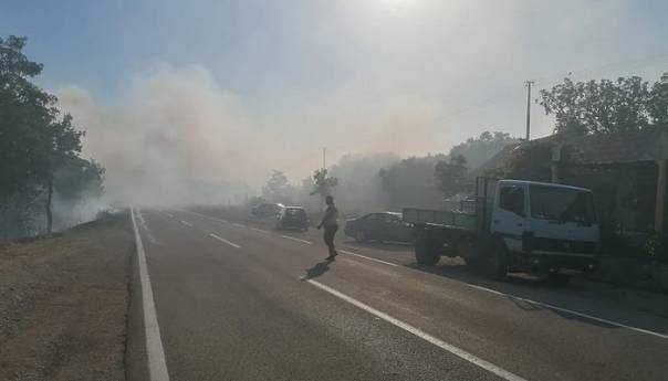 Gašenje požara kod Bileće otežava vjetar, vatrogasci odbili vatru od kuća