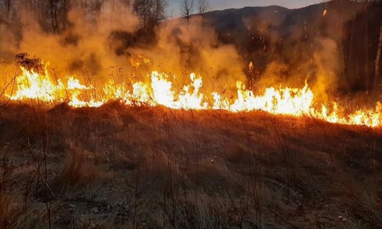 Gašenje požara na planini Zavelim nastavlja se sutra
