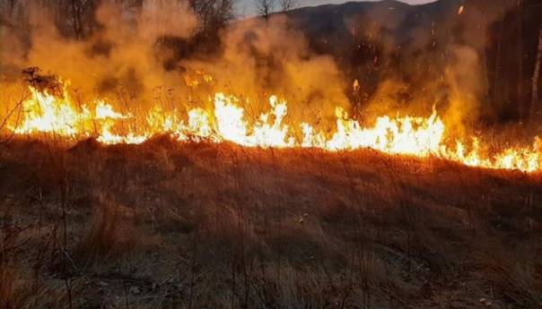 Gašenje požara na planini Zavelim nastavlja se sutra