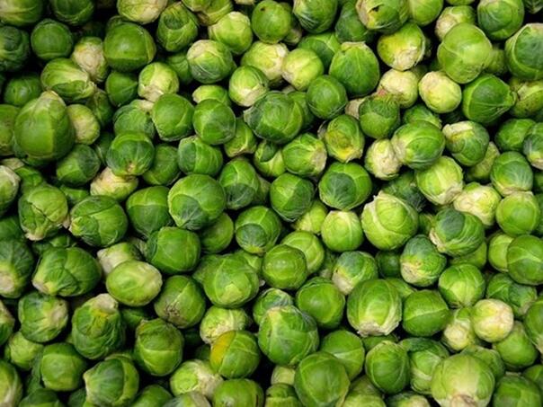 Gastroenterolog tvrdi: Jedno povrće značajno podcijenjena nutritivna snaga