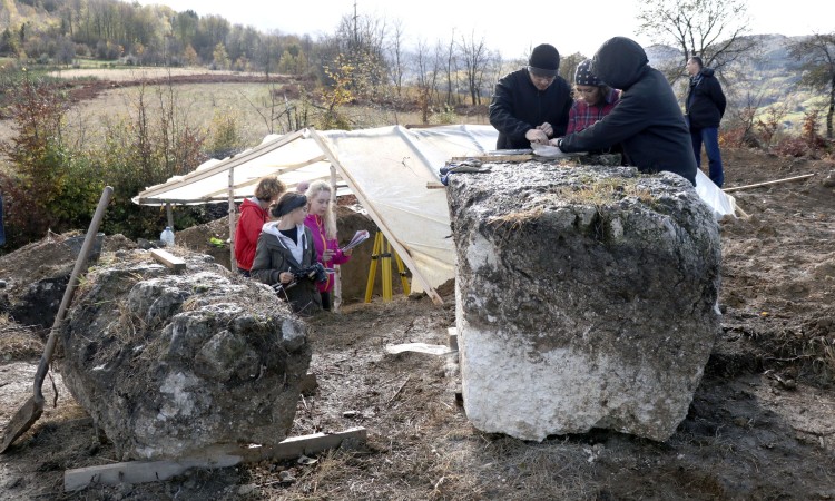 Genetička struktura ostataka sa nekropole 'Metaljica' odgovara našoj