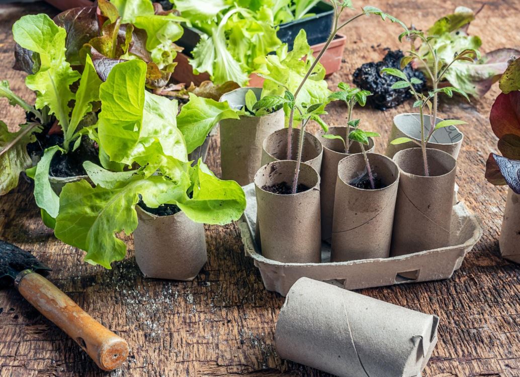 Genijalan trik za vrt: Ne bacajte rolnice od toalet papira