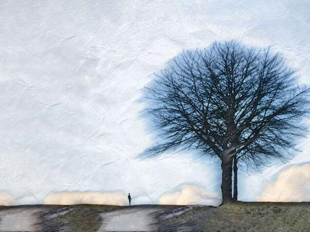 Gibonni na Sarajevskom sajmu knjige promoviše knjigu 'Drvo – priče o pjesmama'