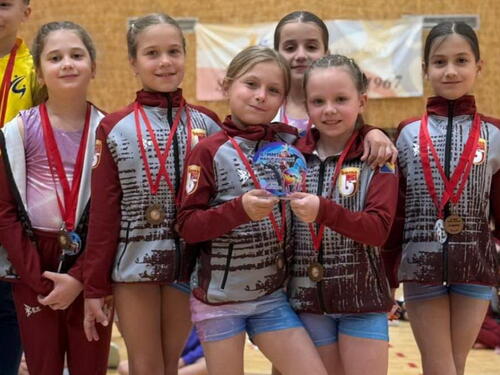 Gimnastičarke Bosne dominirale u jakoj regionalnoj konkurenciji