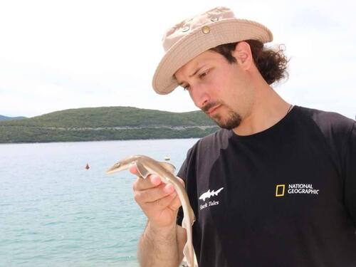 Globalno zagrijavanje ima ozbiljne posljedice po širok spektar morskih ekosistema