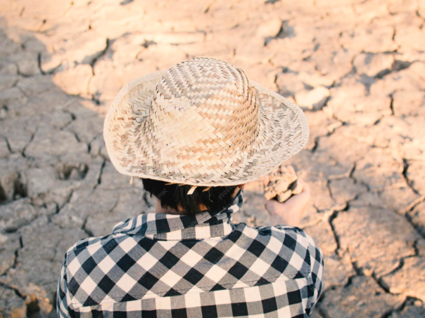 Globalno zagrijavanje ubija jednu osobu svake minute: Milioni života ugroženi zbog zavisnosti od fosilnih goriva