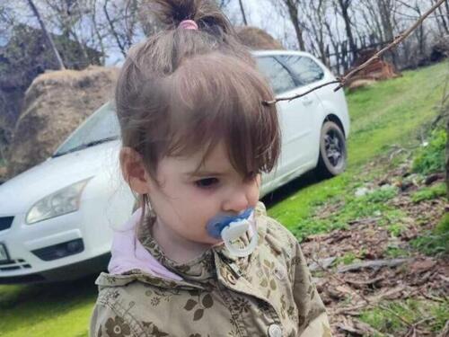 Godina dana od nestanka Danke Ilić, još nema odgovora na ključna pitanja