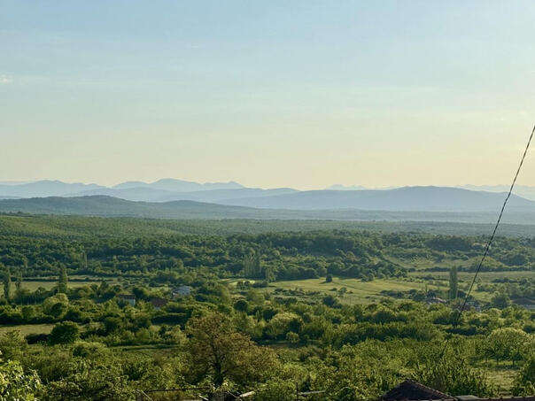 Godišnjica ponovljenog zločina kod Rotimlje: Juli 1943./juli 1993.