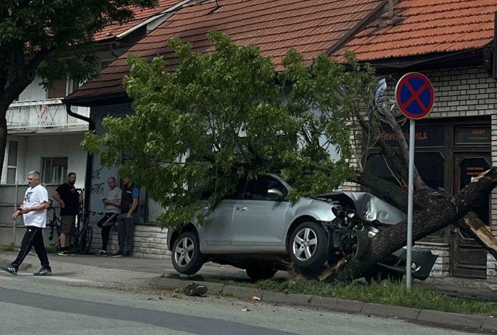 Golfom se zabio u drvo
