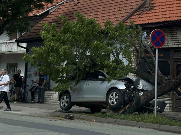 Golfom se zabio u drvo