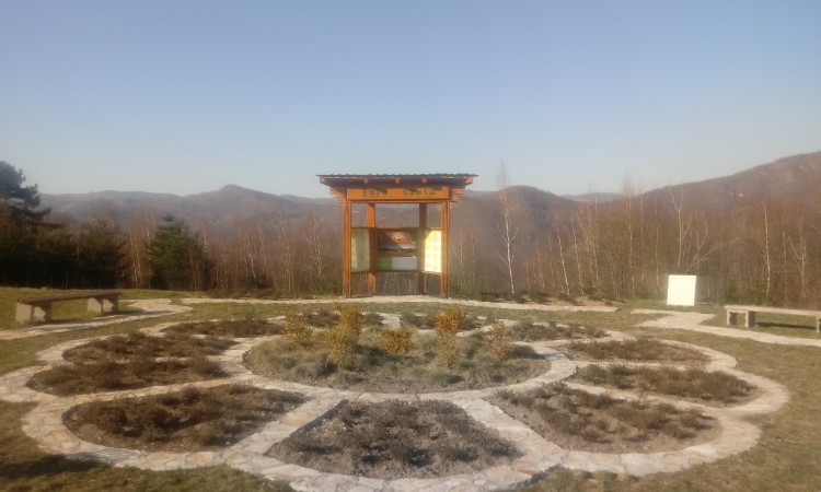 Goraždanski planinari organizuju prvi pohod Goražde-Memorijalna šuma 8372 