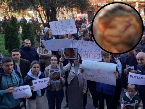 Goražde na nogama nakon napada psa lutalice na dijete!