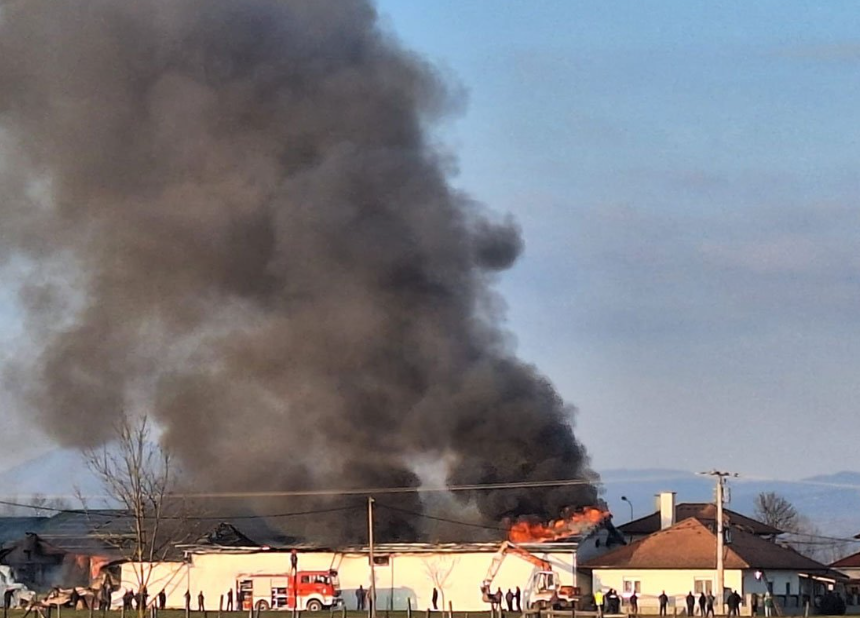 Gori fabrika kiselog kupusa u Srbiji