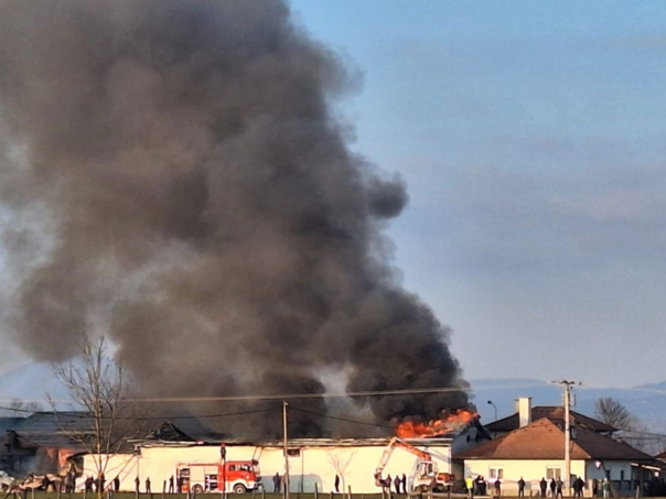 Gori fabrika kiselog kupusa u Srbiji