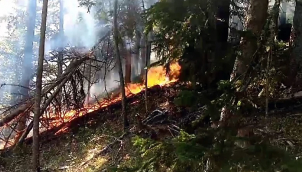 Gori i na Palama, za dopremanje vode do požarišta koristi se i konjska zaprega