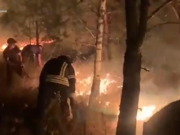 Gori šuma kod Černobila: Vatrogasci i vojska gase požar